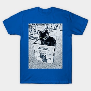 Cat IN A Box - Little Black Kitty T-Shirt